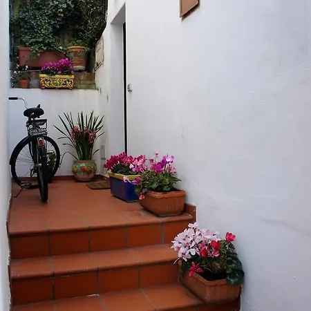 Apartamento Casa Sofi