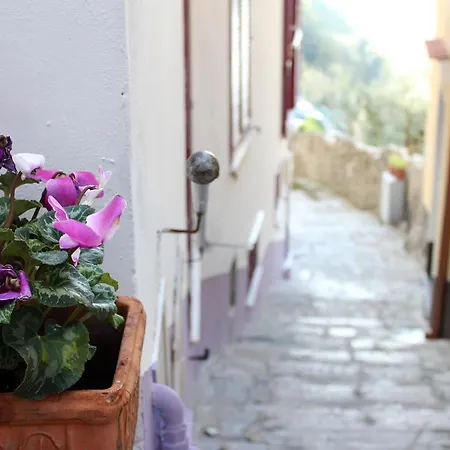 Apartamento Casa Sofi *