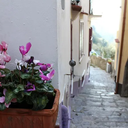 Casa Sofi